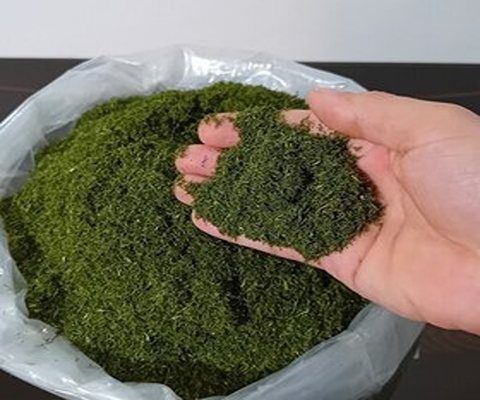 تصویر 1 از فروش فوق العاده شوید خشک صادراتی با کیفیت عالی
